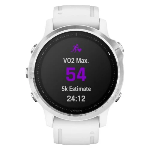 Rugged GPS Smartwatch for Fitness and Adventure,GARMIN FENIX 6S Smartwatch